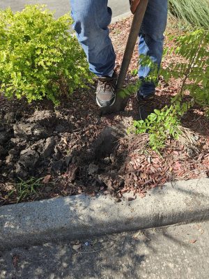 Commercial irrigation and landscape houston tx