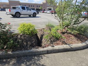 Commercial irrigation and landscape houston tx