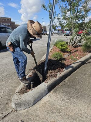 Commercial irrigation and landscape houston tx