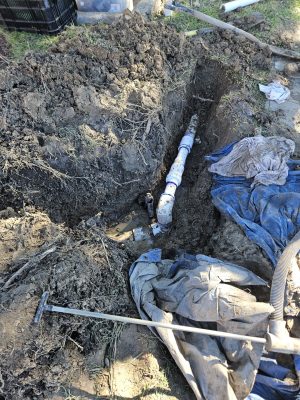 Commercial irrigation and landscape houston tx