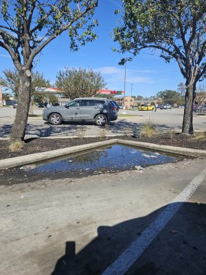 Commercial irrigation and landscape houston tx