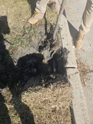 Commercial irrigation and landscape houston tx