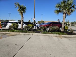 Commercial irrigation and landscape houston tx