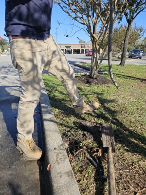 Commercial irrigation and landscape houston tx